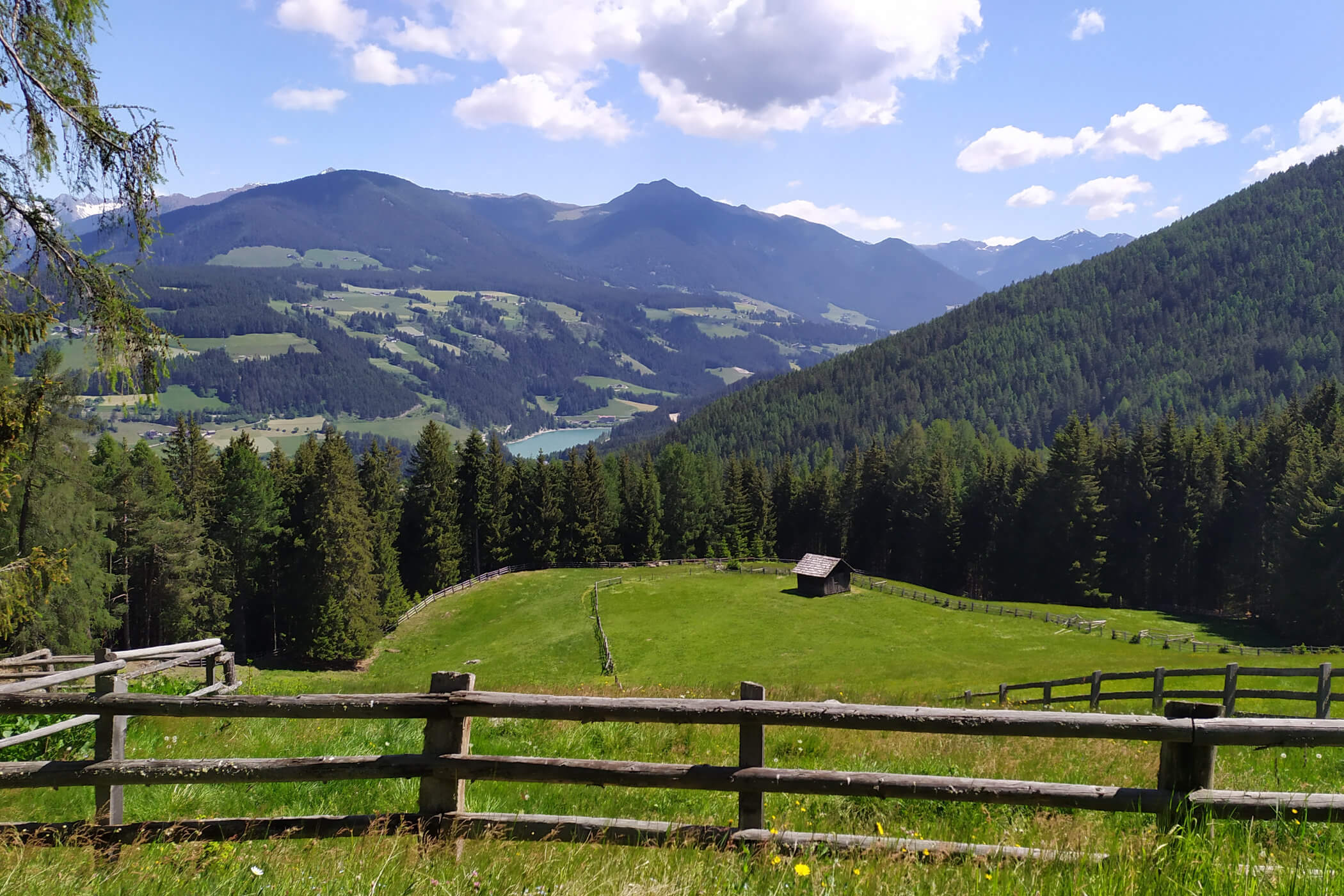 Prato verde - Residenza Maximilian